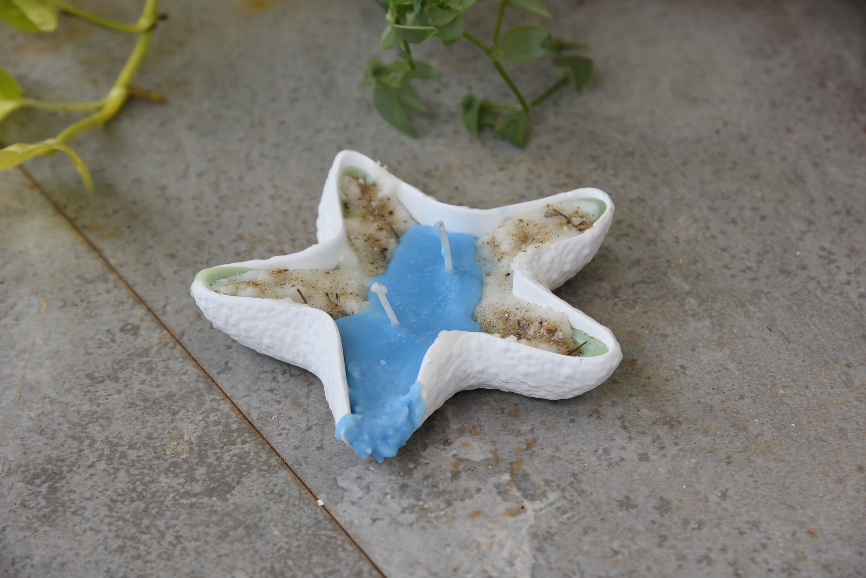 Starfish Concrete Candle